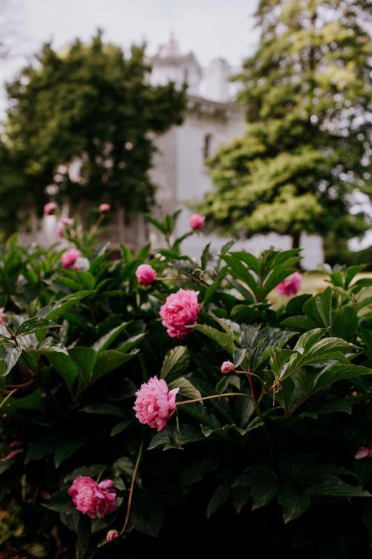 Mayhurst Estate Orange ภายนอก รูปภาพ