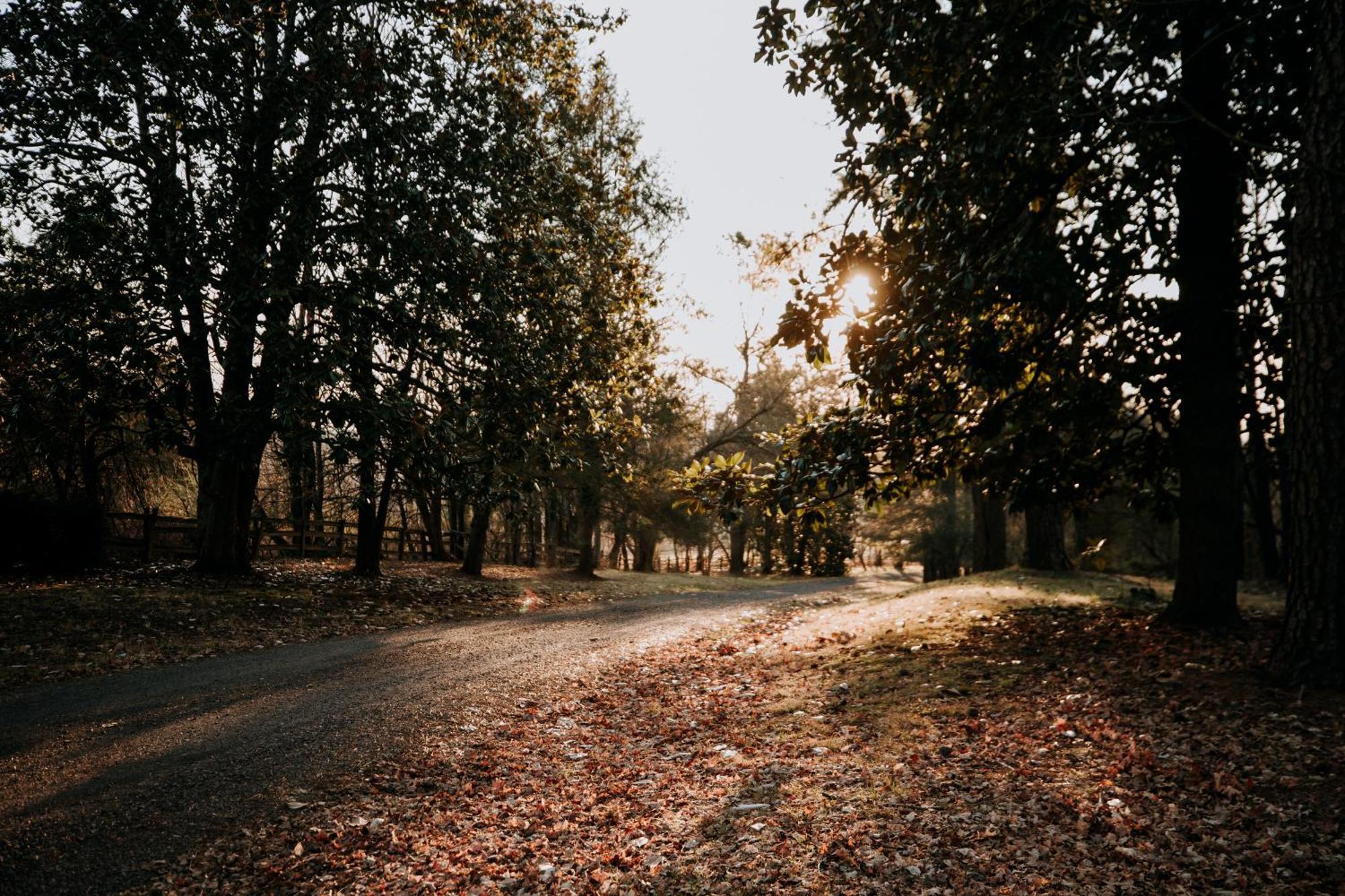 Mayhurst Estate Orange ภายนอก รูปภาพ